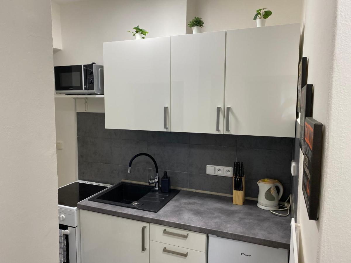 Downtown Flat Under Spilberk Castle Apartment Brno Bagian luar foto